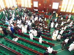 JUST IN: Reps Send Strong Letter To Canadian Govt, Reveal What To Do To Woman Who Threatened To Kill Nigerians (Documents)