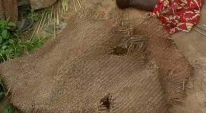 Family of six perish in Kebbi