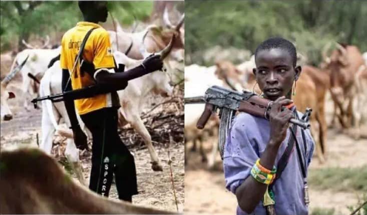 Tension As Armed Bandits Open Fire On Fulani Herdsmen