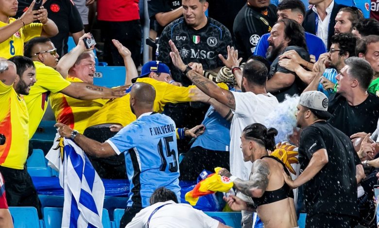 Copa America: Tension As Major Fight Breaks Out After Colombia Defeated Uruguay (PHOTOS)